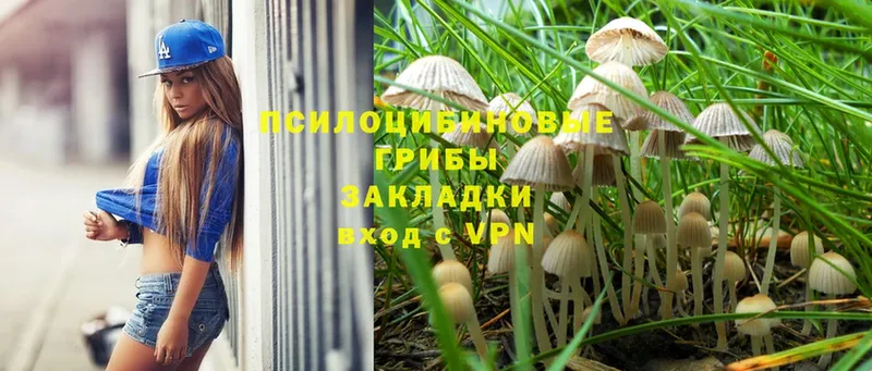 hydra ссылка  Азнакаево  Псилоцибиновые грибы Psilocybine cubensis 